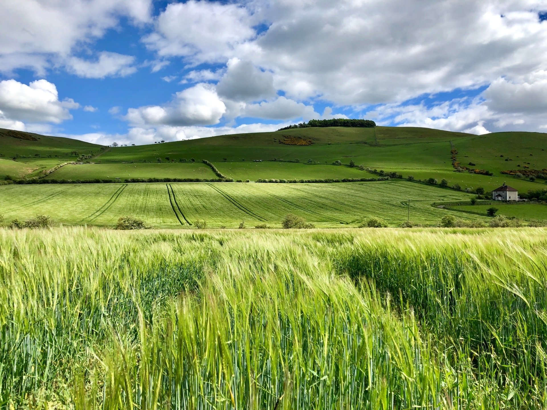 Clayton Cottage in Northumberland self catering holiday home