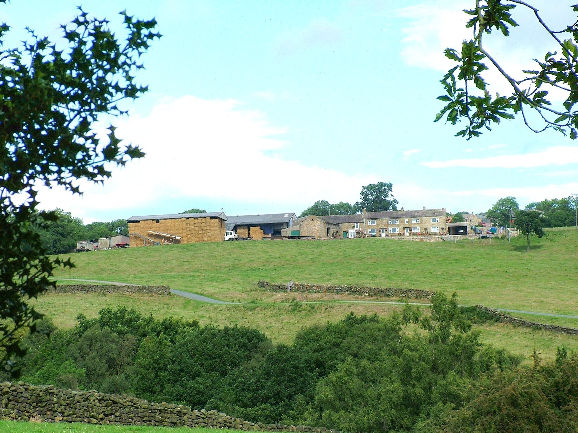 Firtree Farm Holiday Homes