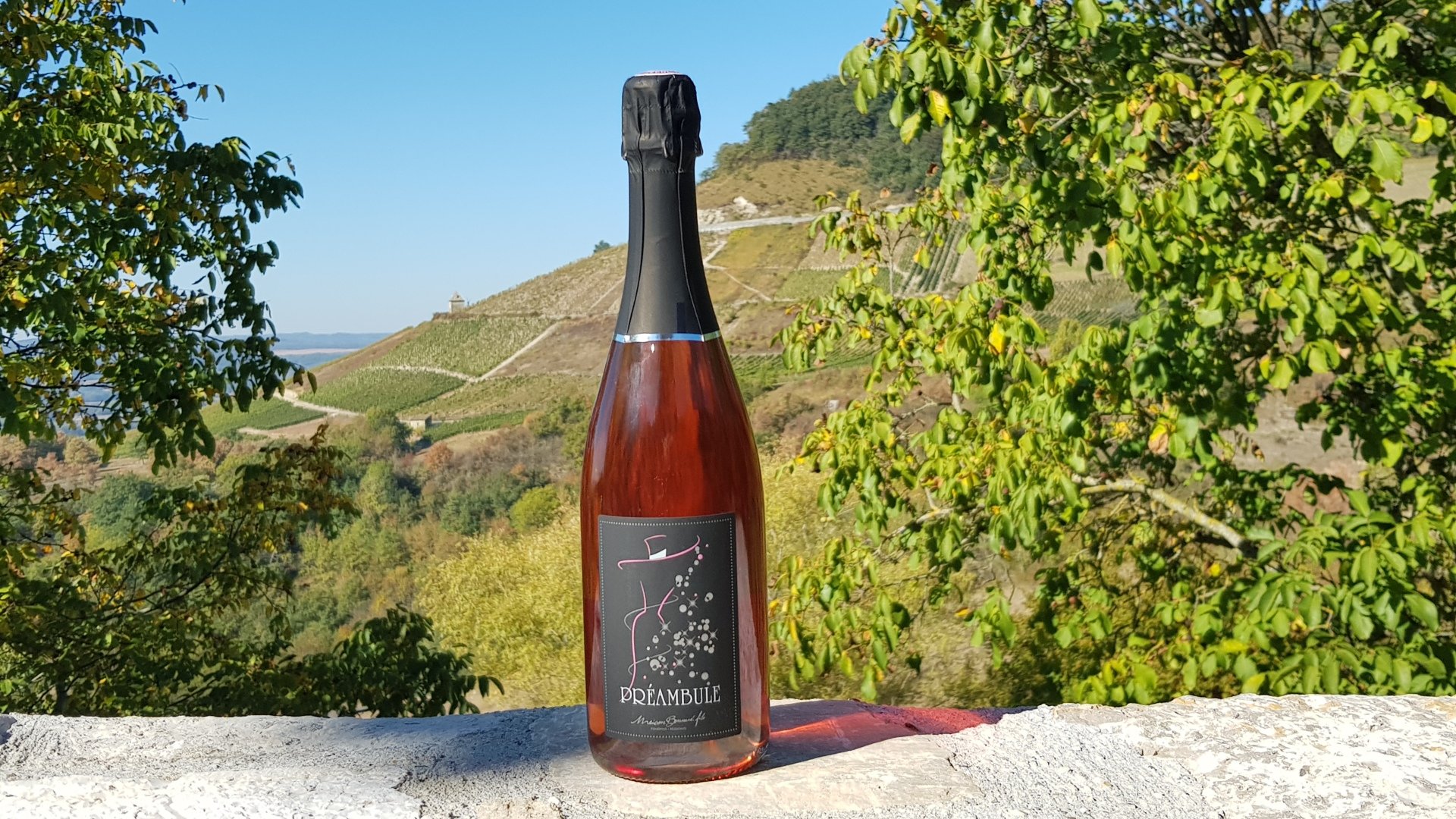 Vins du Bugey à Montagnieu Vins du Bugey à Montagnieu