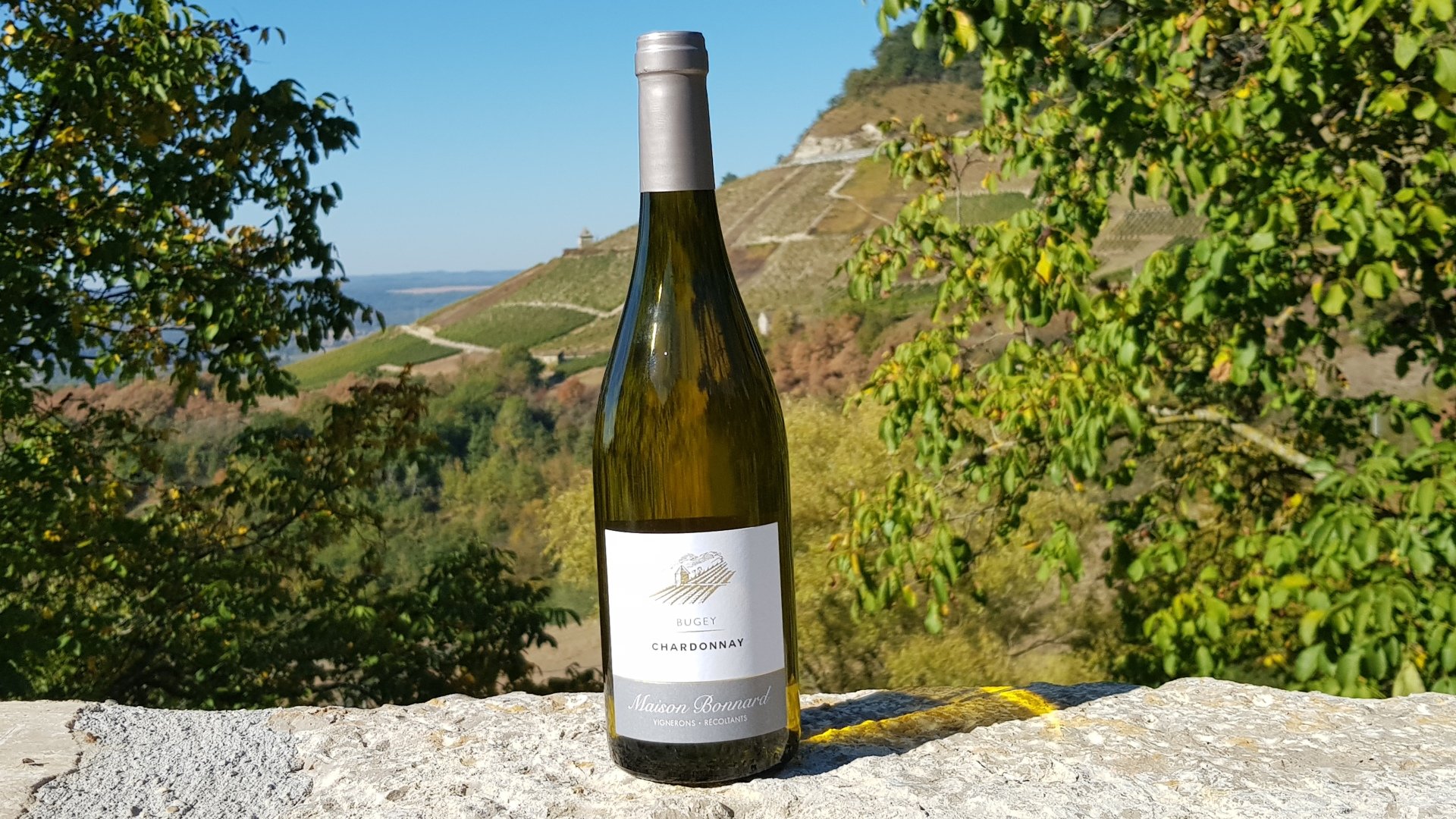 Vins du Bugey à Montagnieu Vins du Bugey à Montagnieu