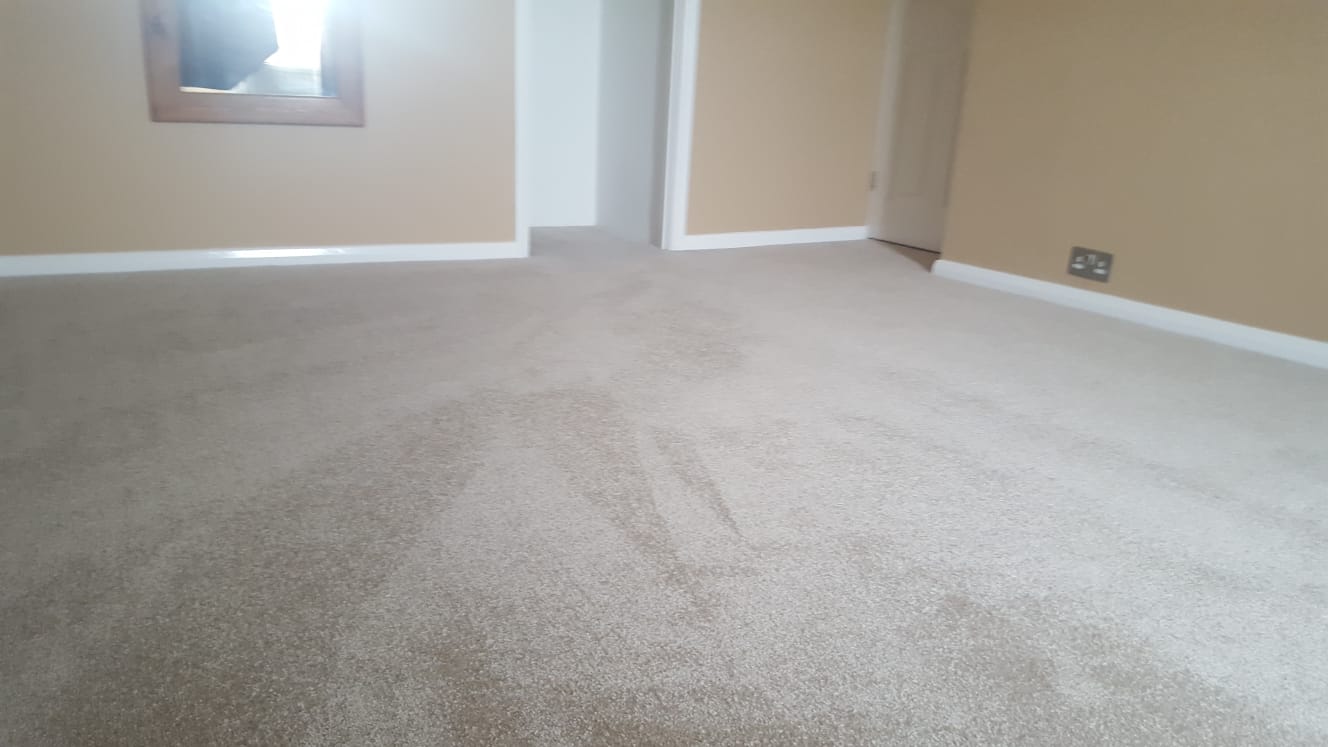 Gallery on Carpet & Carpet Tiles