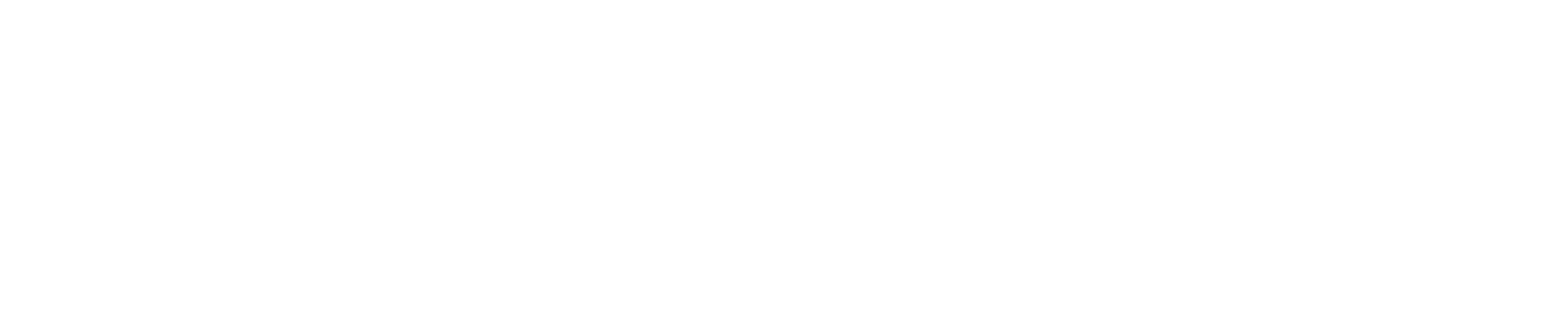 Prime Vector Technologies | About Us