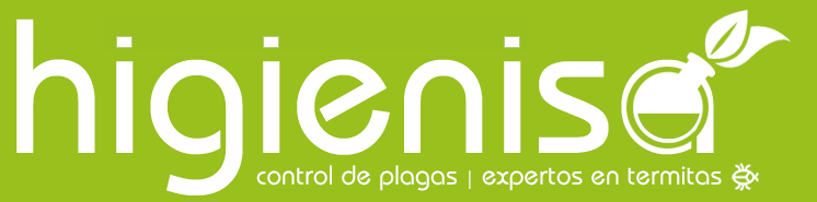 tratamiento termitas