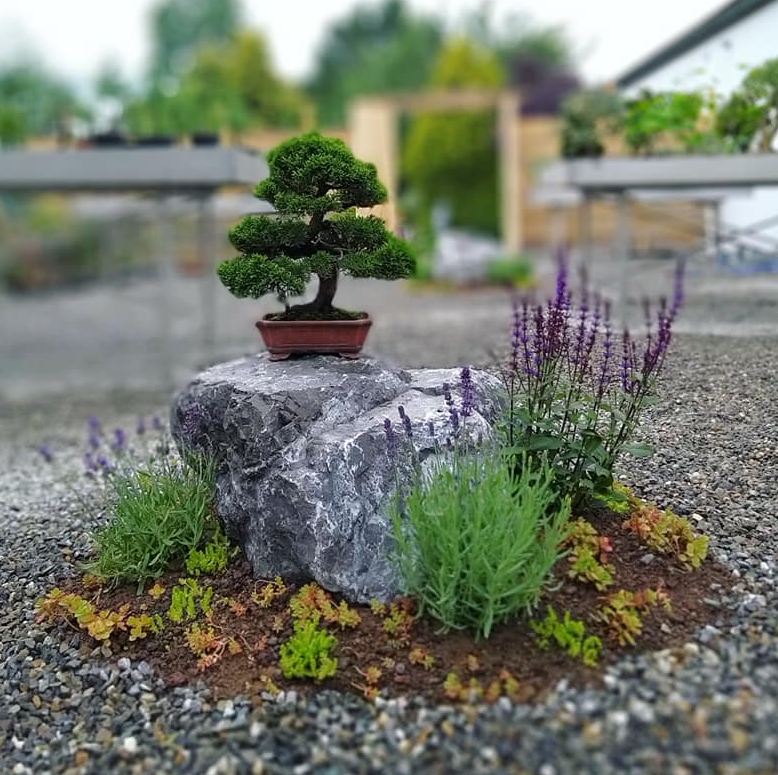 Willkommen bei WoodStone