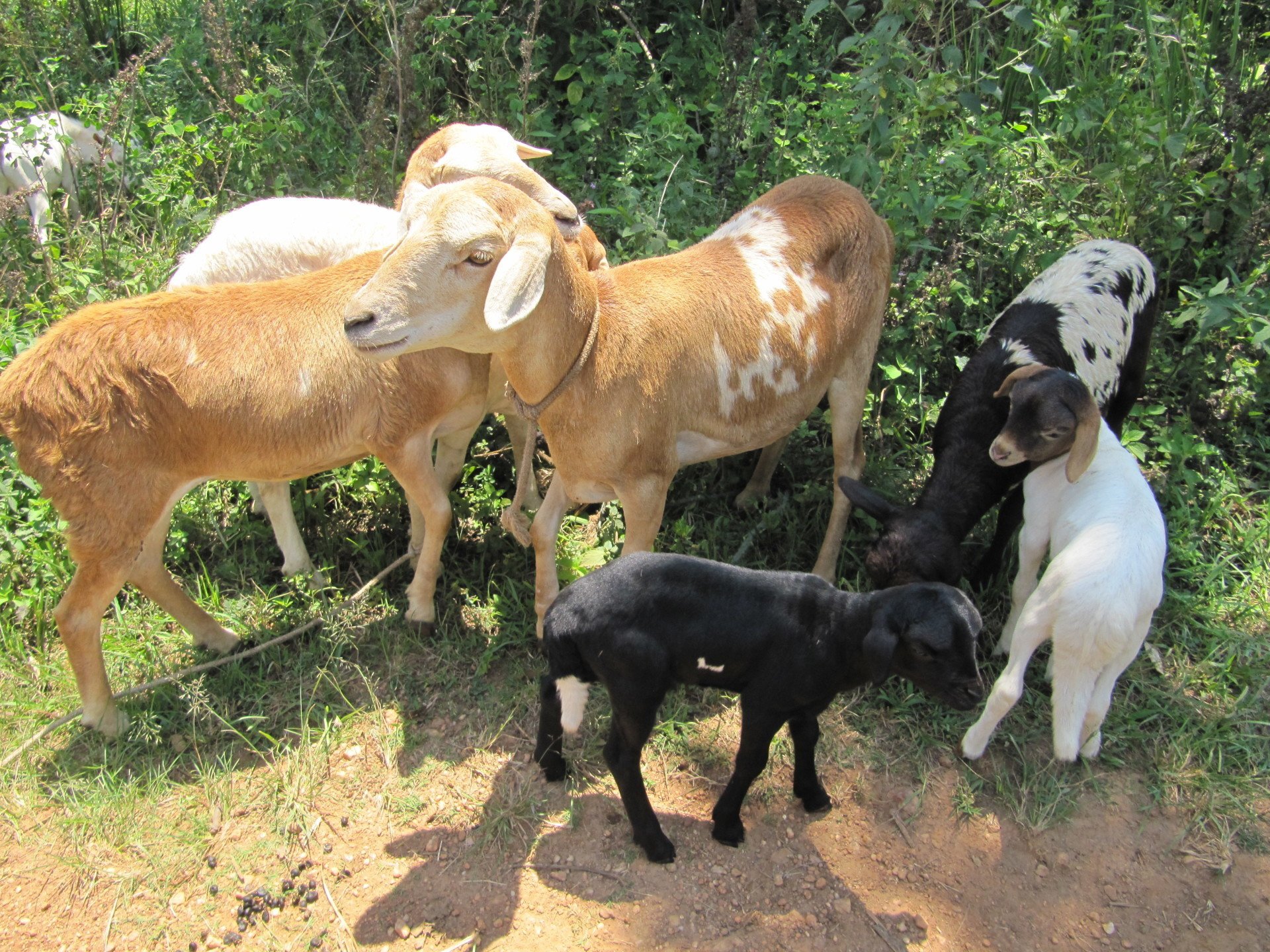 Aim for Change in Uganda