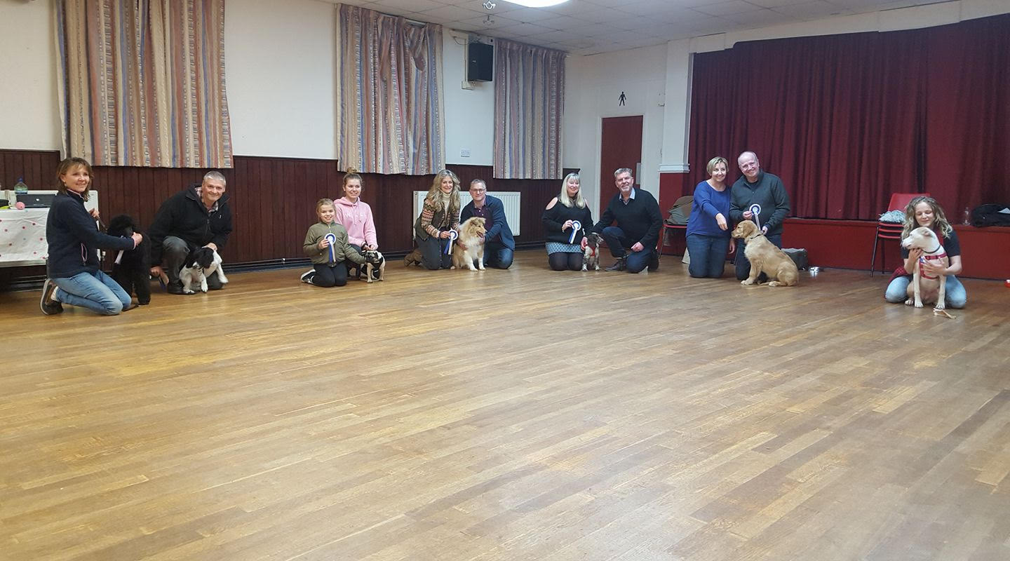 puppy-classes