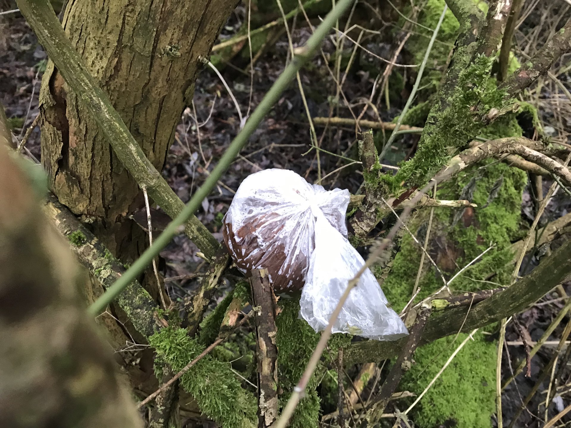 Verein Erholungsgebiet Haarenniederung e.V.