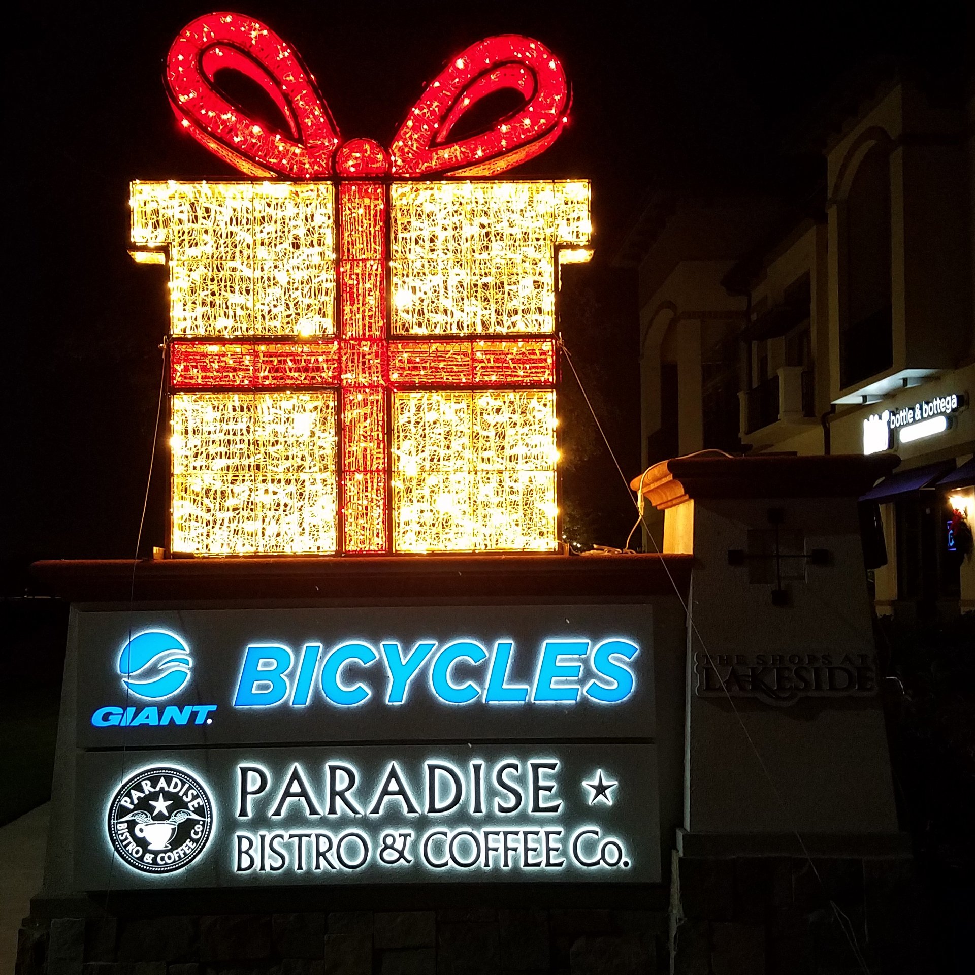 Premier Christmas Christmas Lighting & Decor