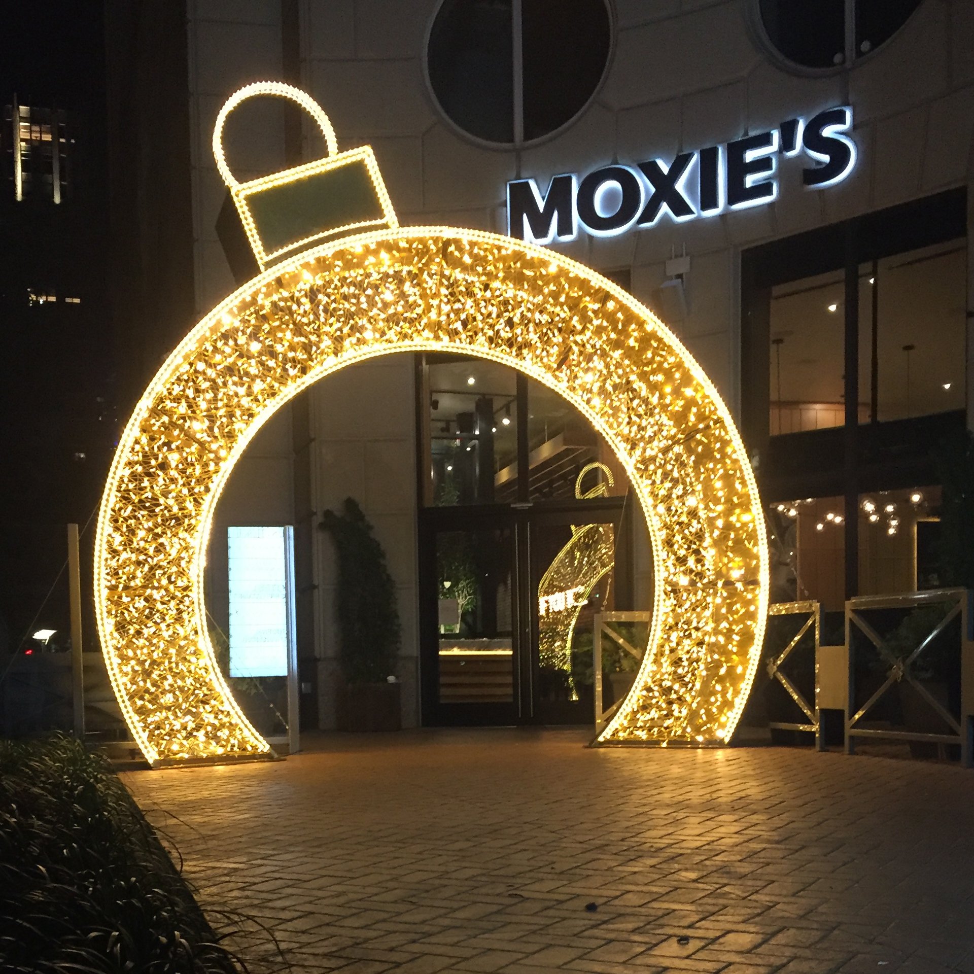 Premier Christmas Christmas Lighting & Decor