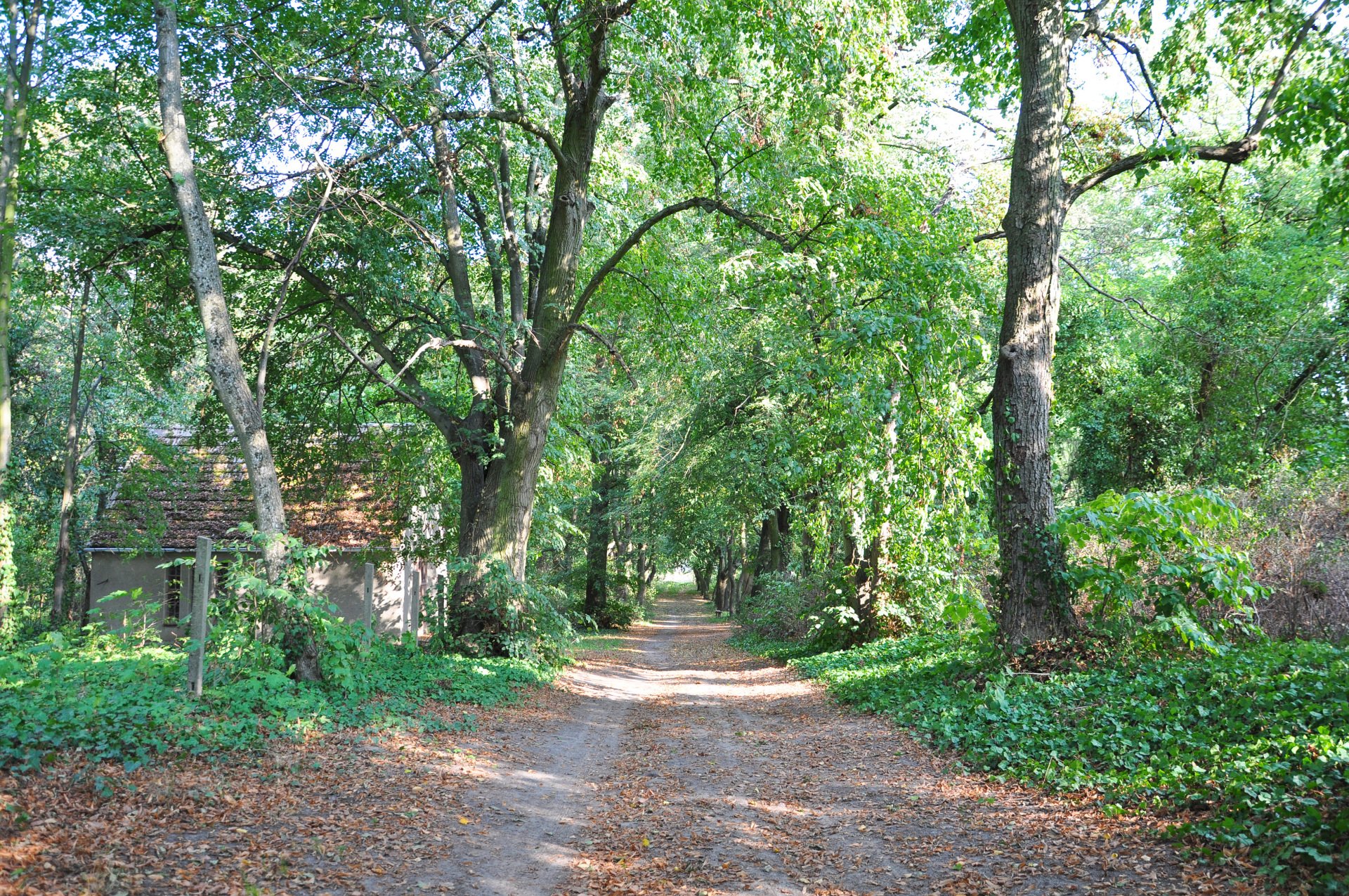 Haus Hohenholz - Ferienhaus Uckermark und Dorf Hohenholz