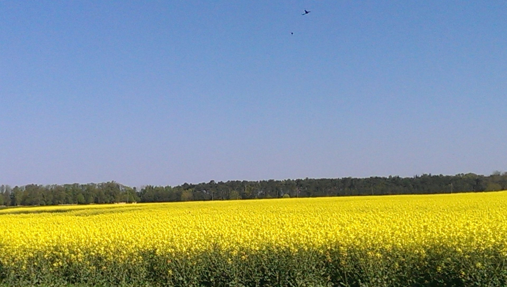 Der Rausch der Farben