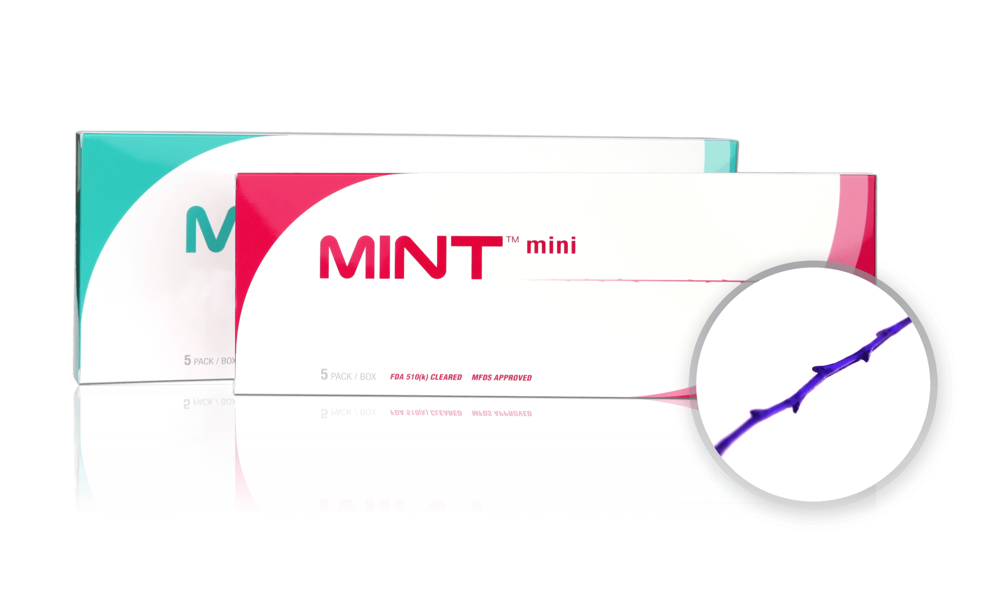 Mint easy