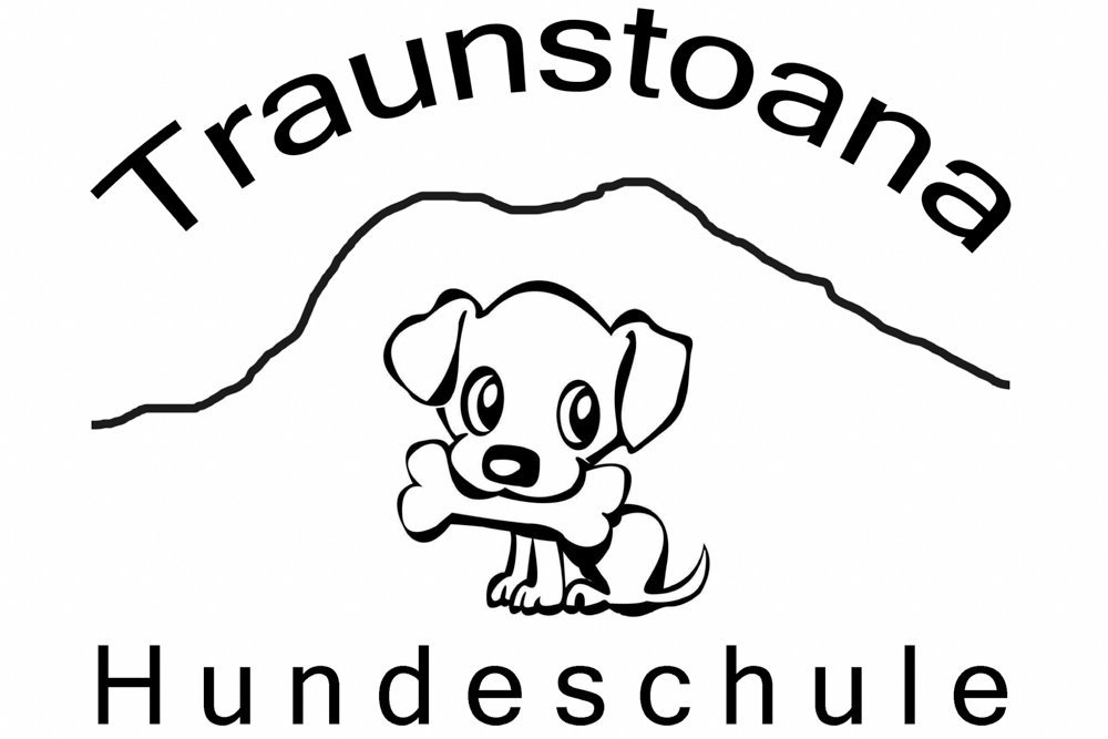 Fremden hund kennenlernen