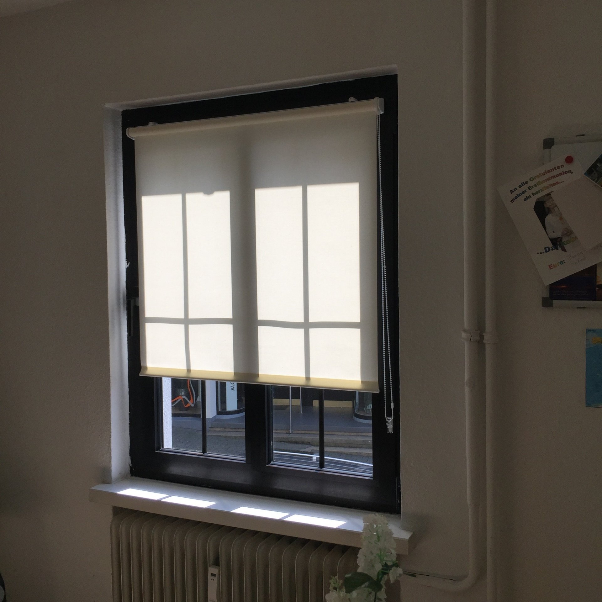 Schöne Rollos für guten Sichtschutz an Ihren Fenstern