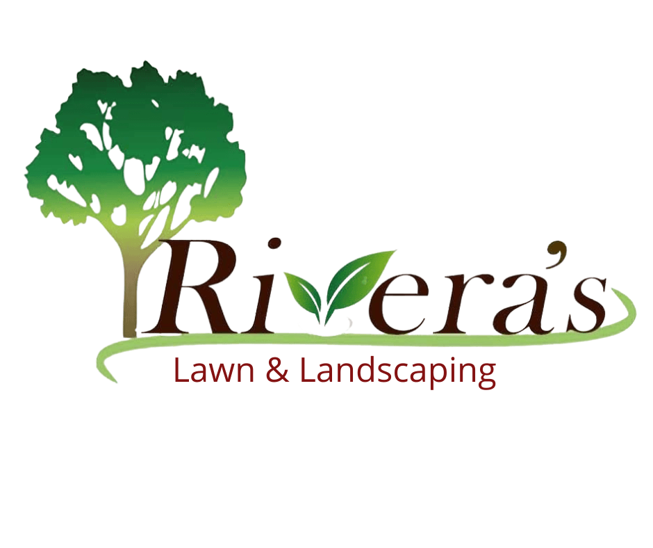 Rivera's Landscaping specialist in the Rio Grande Valley.