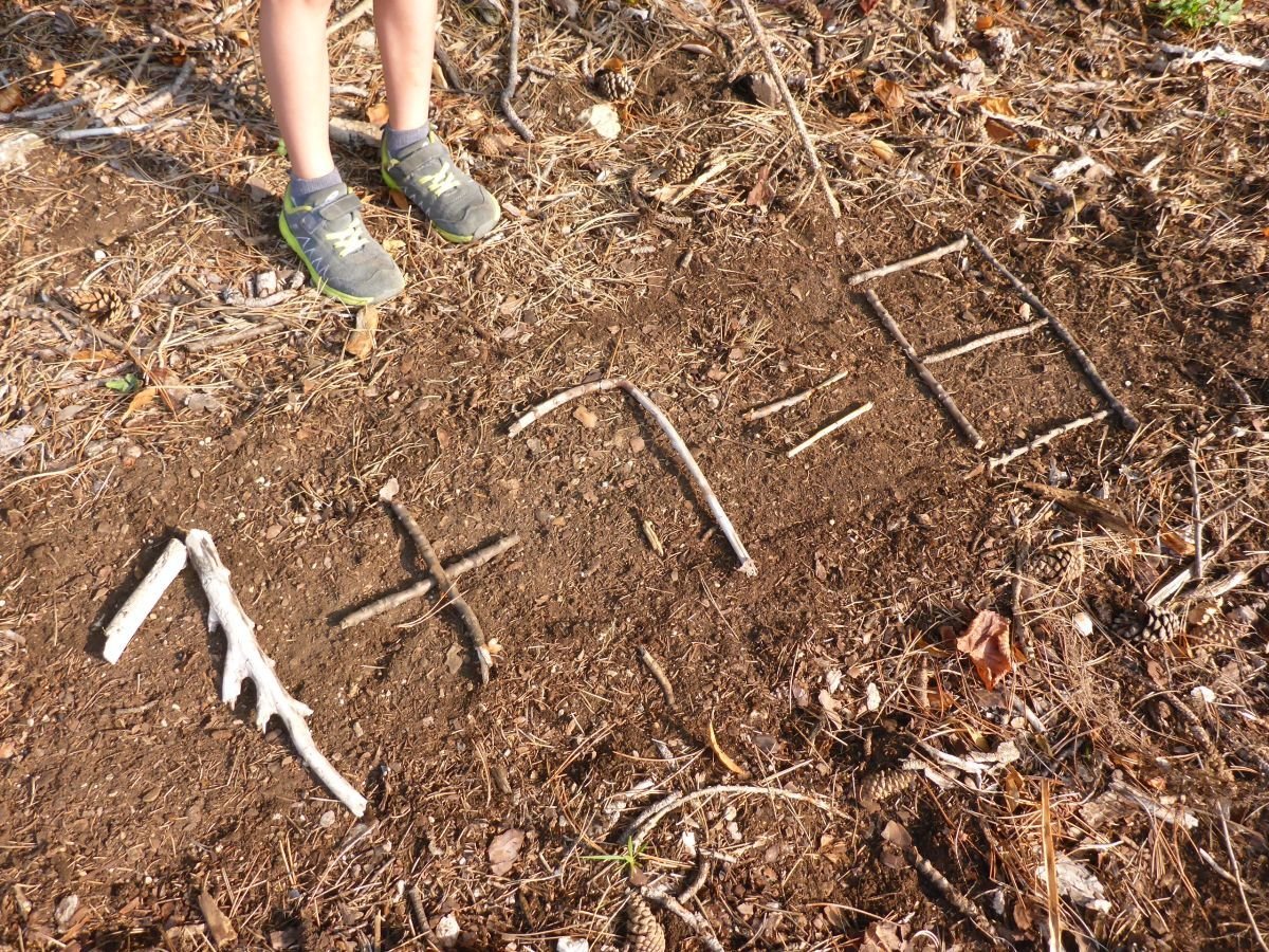 Waldpädagogik für Schulen, Kindergärten, Kinder, Erwachsene