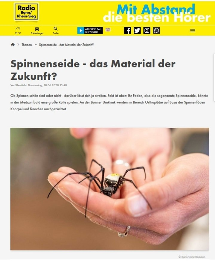 Forschungsprojekt im Radio Bonn RheinSieg Forschungsprojekt im Radio Bonn RheinSieg