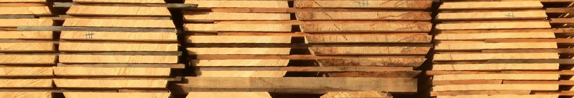 Holzhandlung Haves - das sind wir - wir lieben Holz