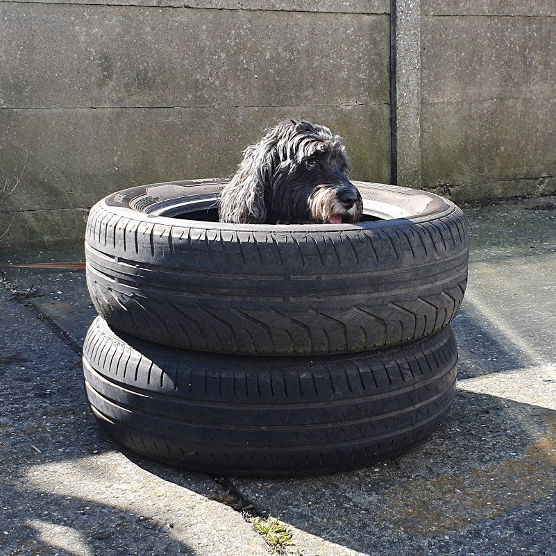 Bexley Starters & Alternators