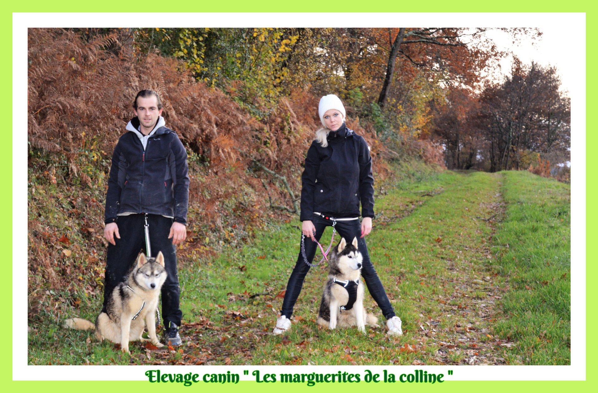 Elevage Canin Les Marguerites De La Colline