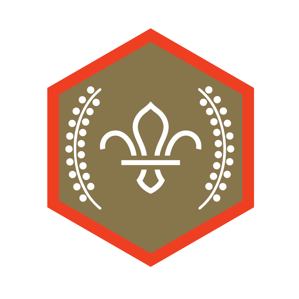 Challenge badge hub