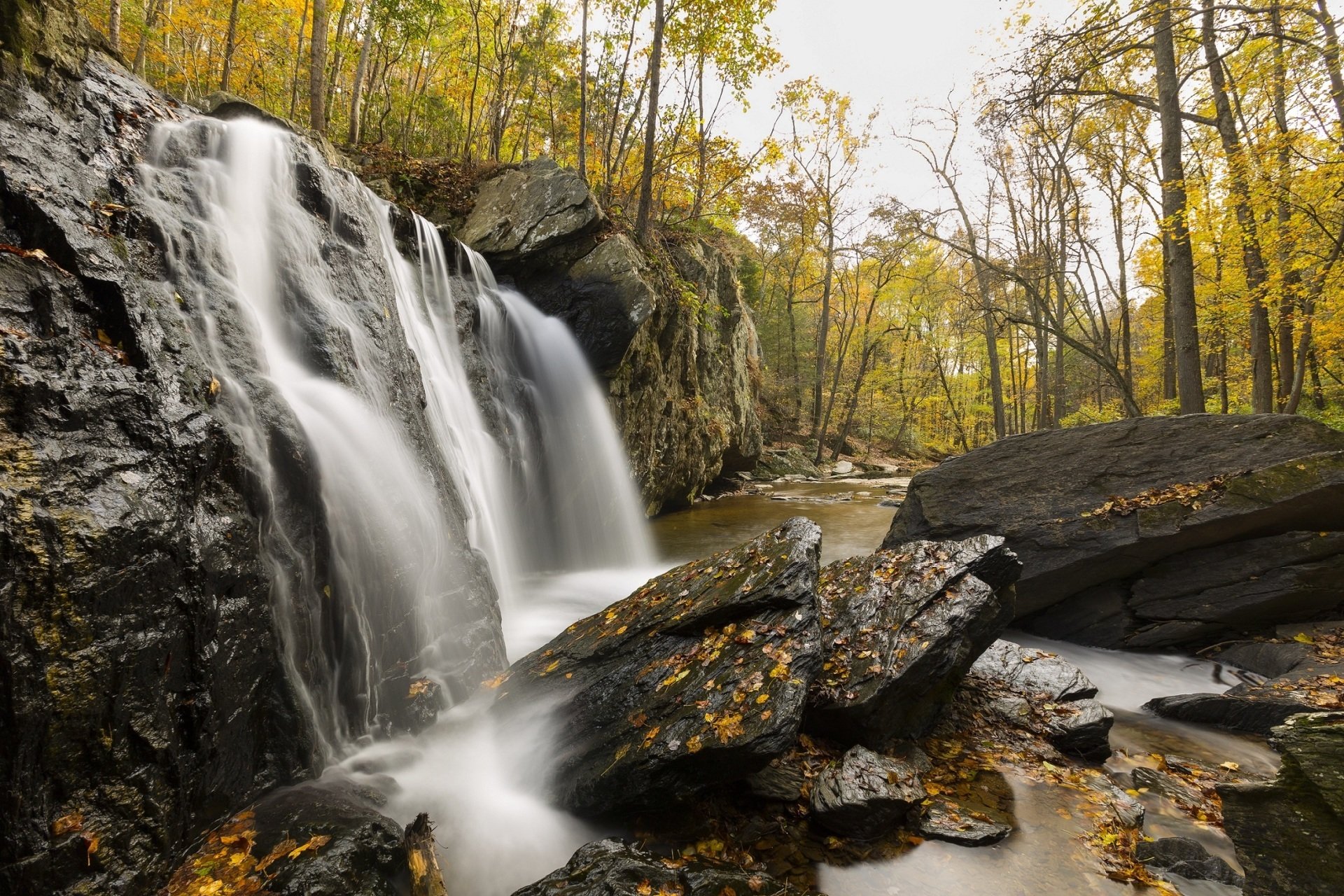 Region Fall Capital Region in the Fall