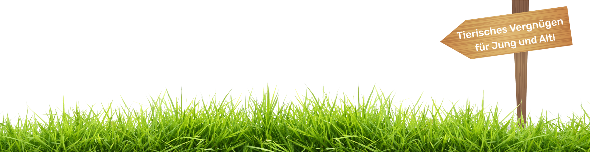 Home [www.birgits-tiergarten.de]