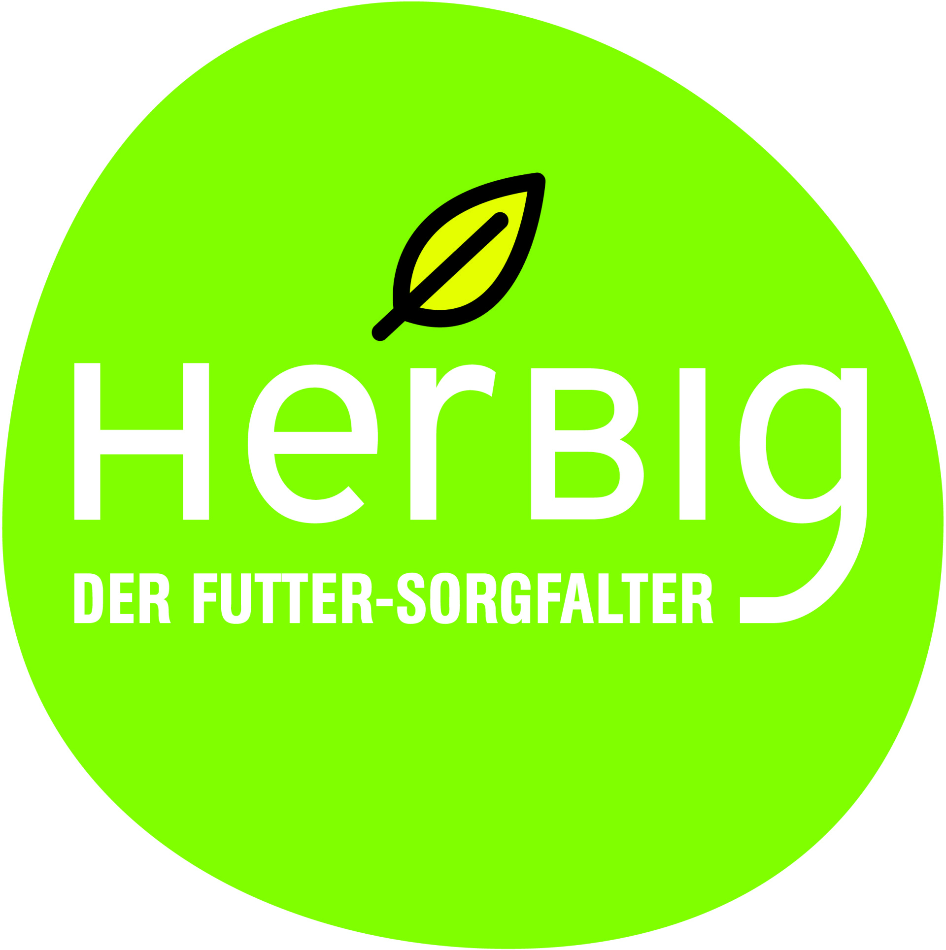 Home [www.fmsherbig.de]