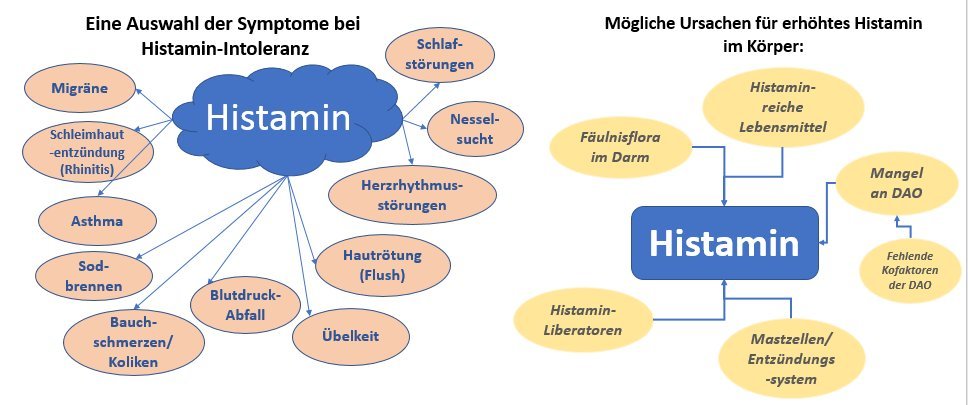 Unverträglichkeit & Intoleranzen: Beratung bei Heilpraktiker Nürnberg