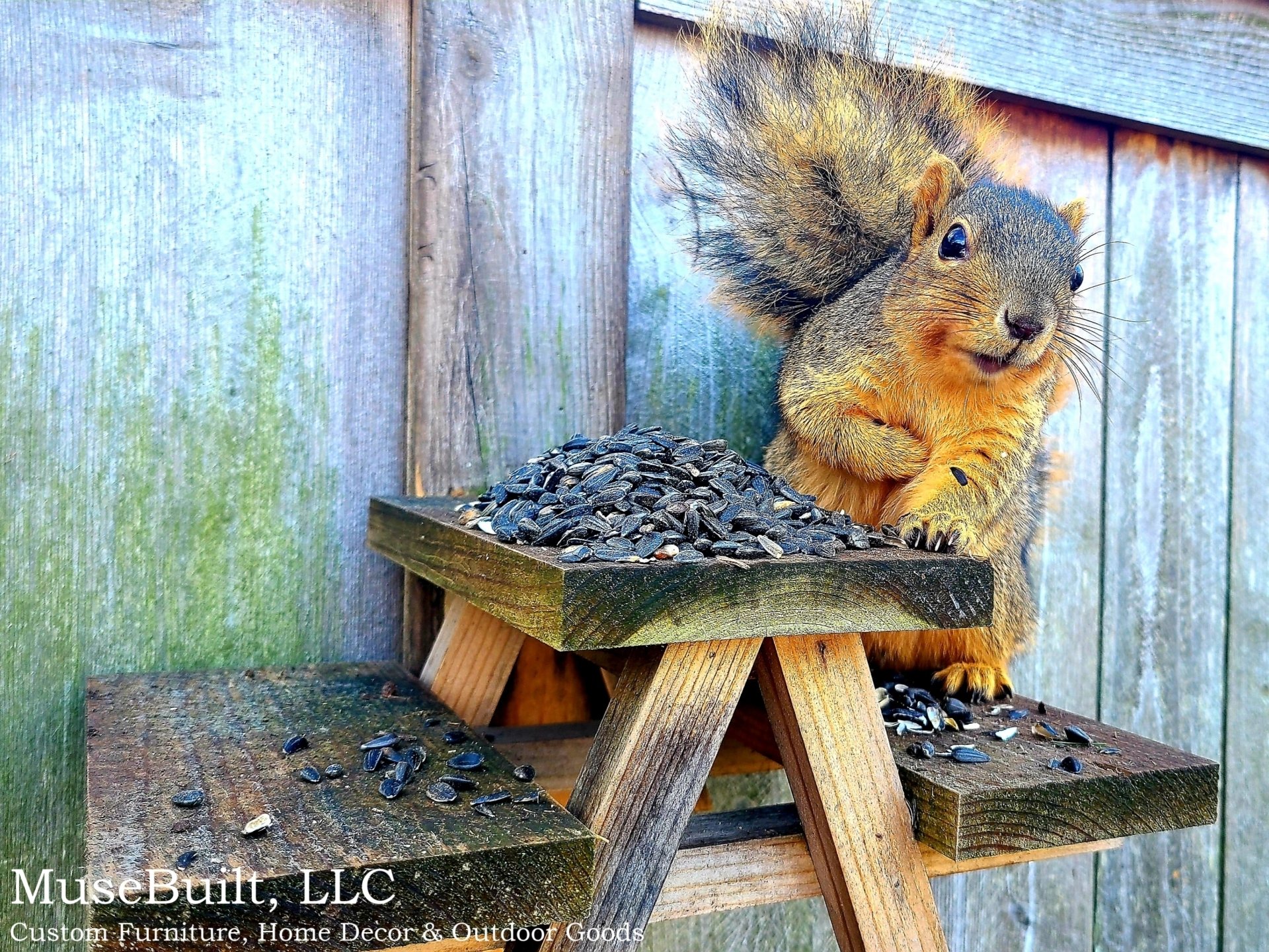 Custom Woodworking Gallery Indianapolis, Indiana MuseBuilt, LLC