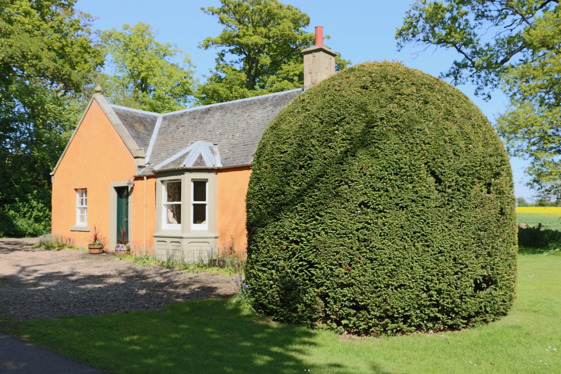 Daffodil CottageA luxury cottage set in an idyllic, tranquil location