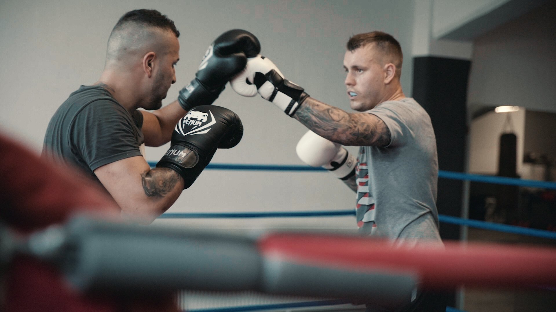 Die Galerie von Boot Boxing Leipzig