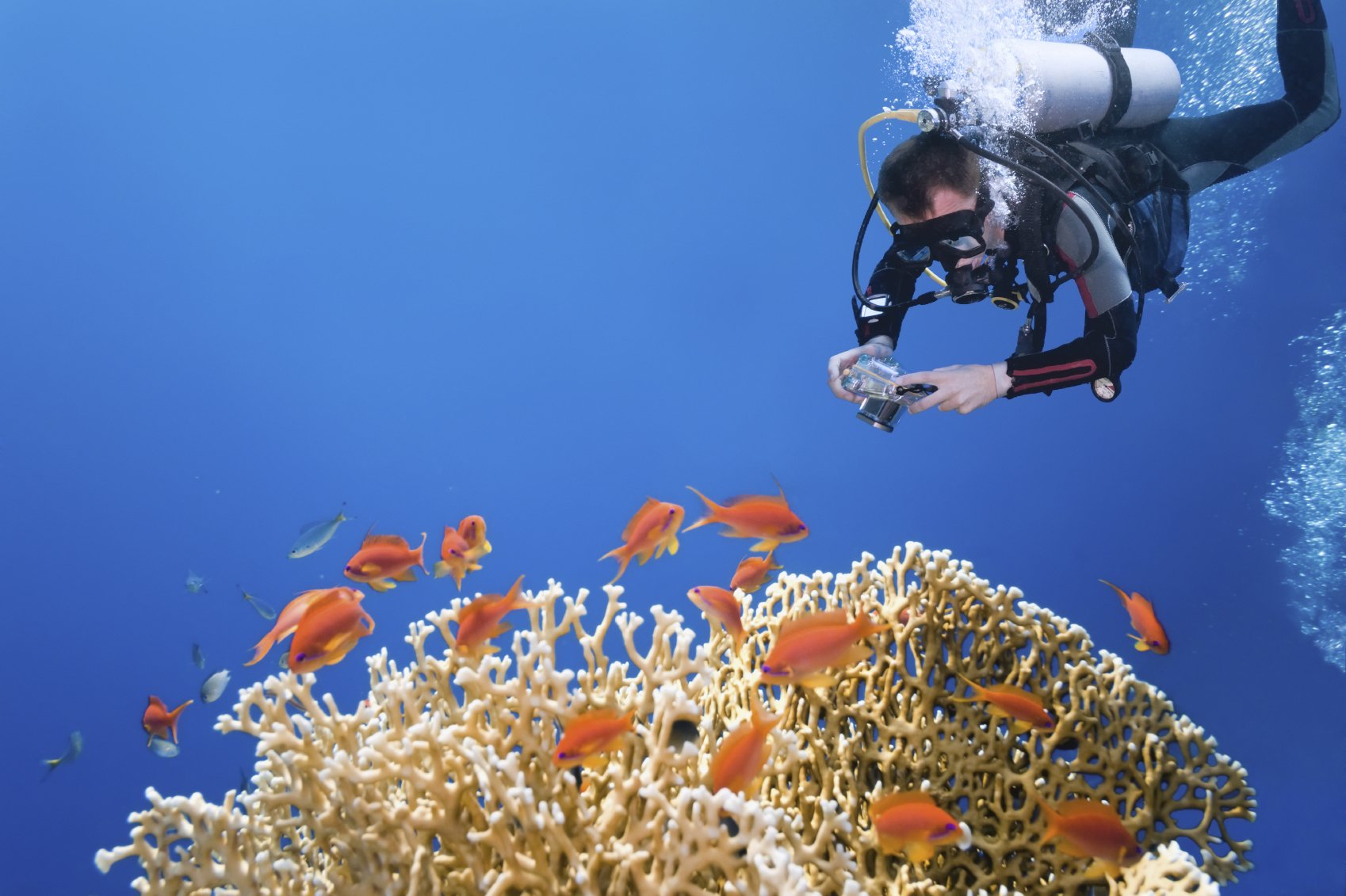 Scuba diving fitness examination