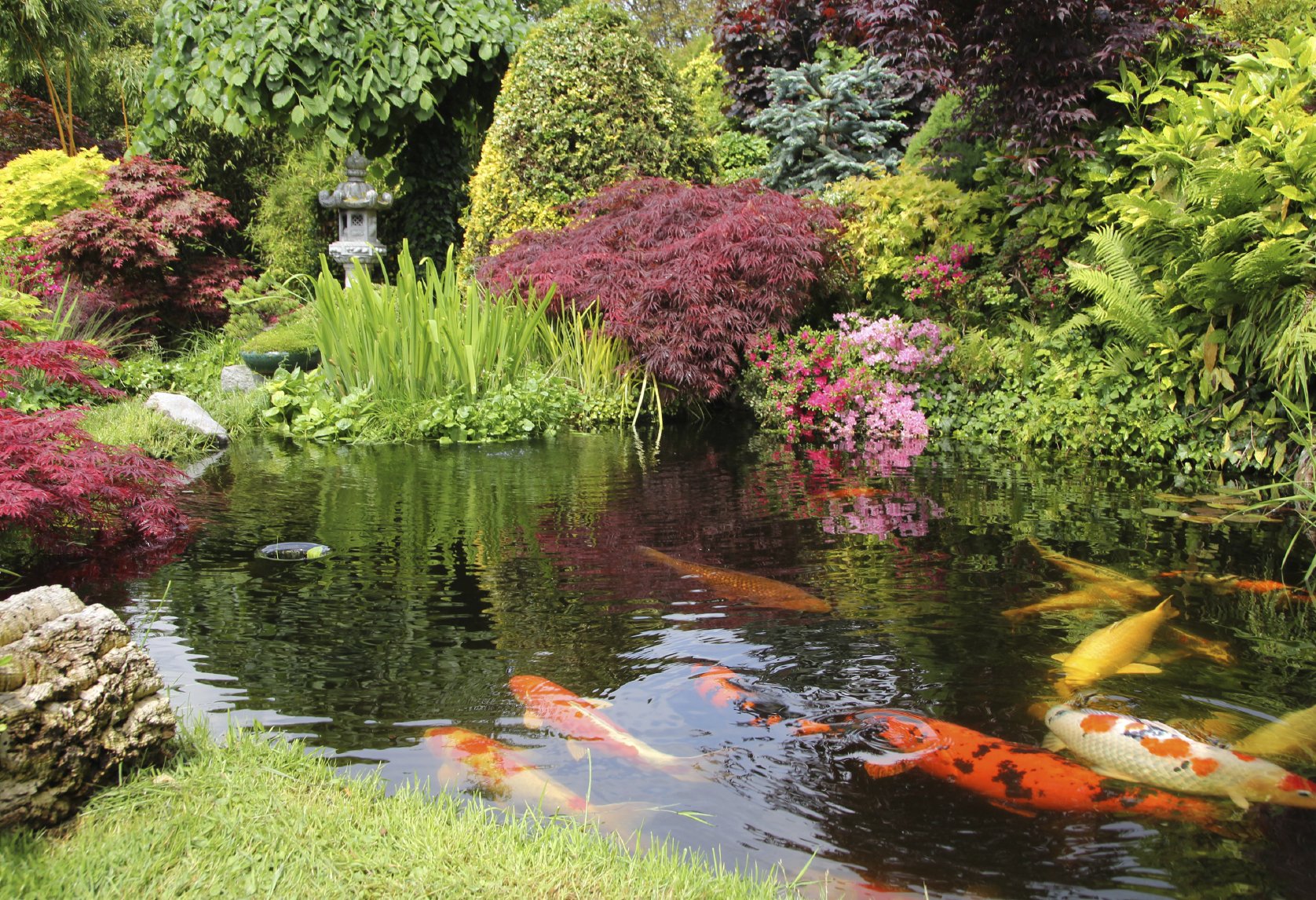Pool & Teich/ Beratung / Planung / Projektleitung