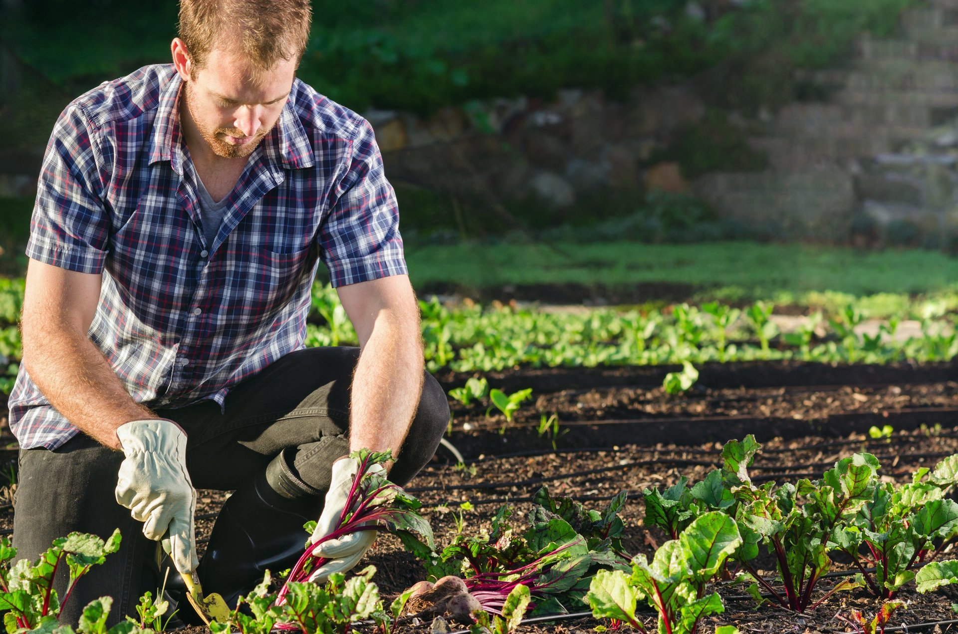 PEPINIERE DES ASPRES GRASSE JARDINERIE ALPES MARITIMES 2024