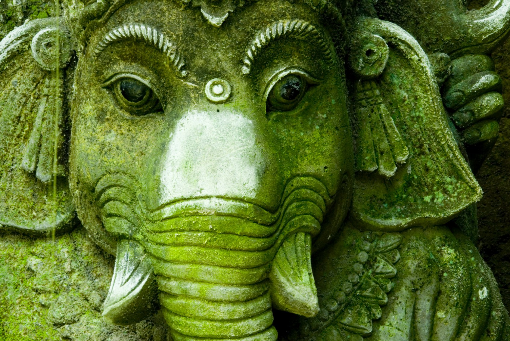 Elefantenstatue - grün bewachsener Kopf von Ganesha