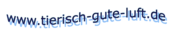 Logo Ozongerät - Verleih