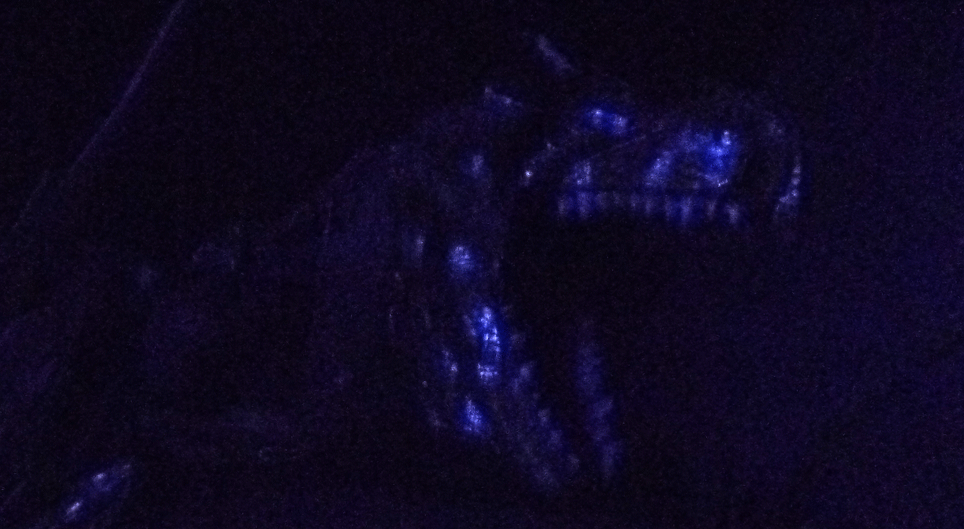 Nachtdrache