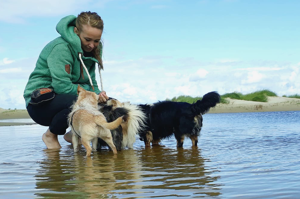 Führung, Verantwortung, Grenzen