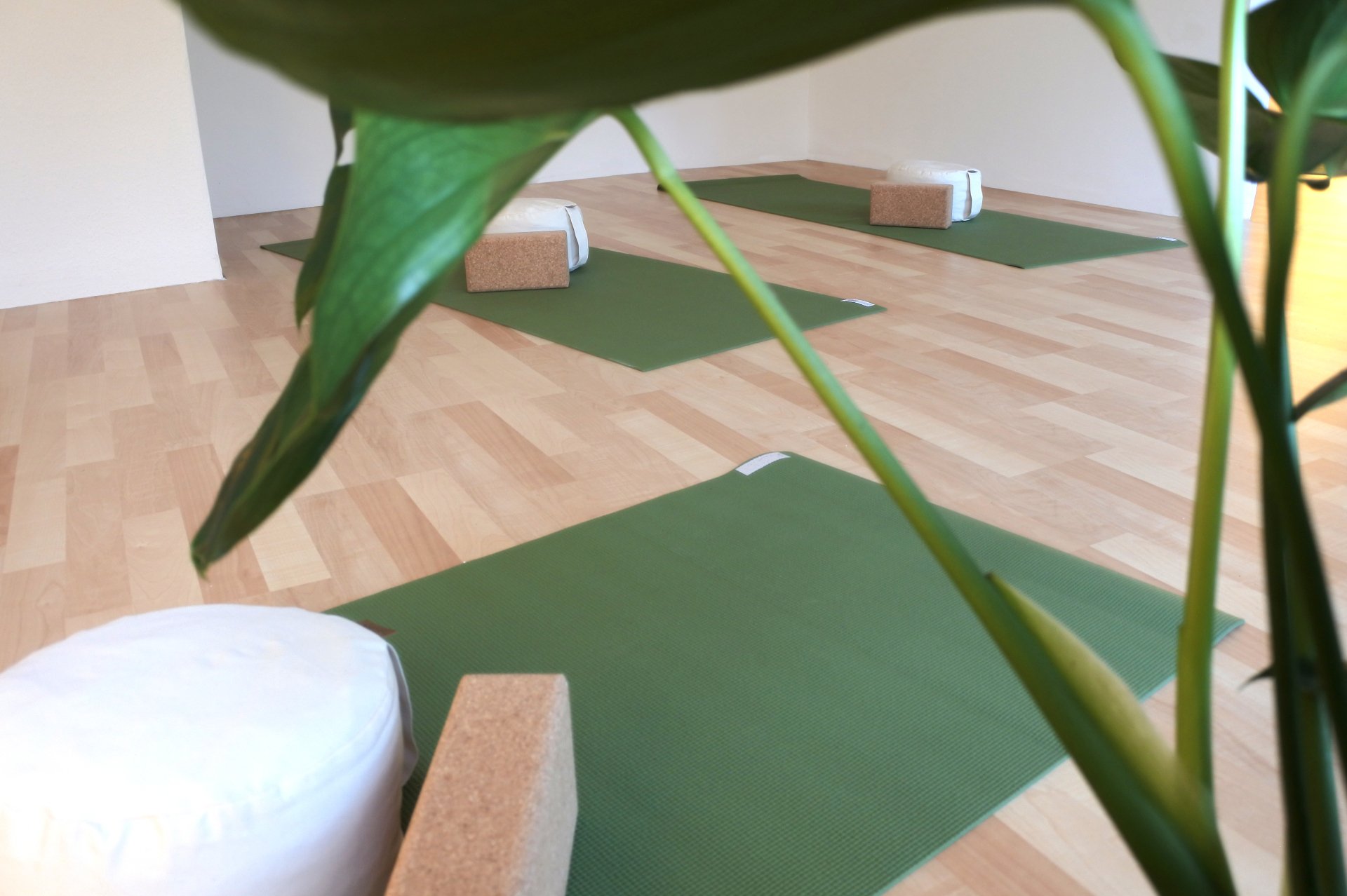 Yoga in Cloppenburg