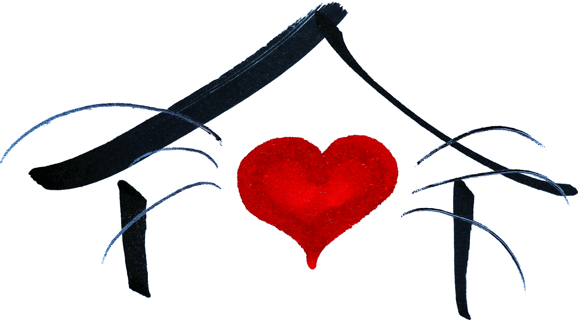 Katzen Pension mit Herz