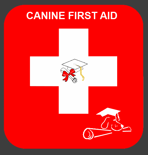 Canine First Aid Courses Canine First Aid Courses