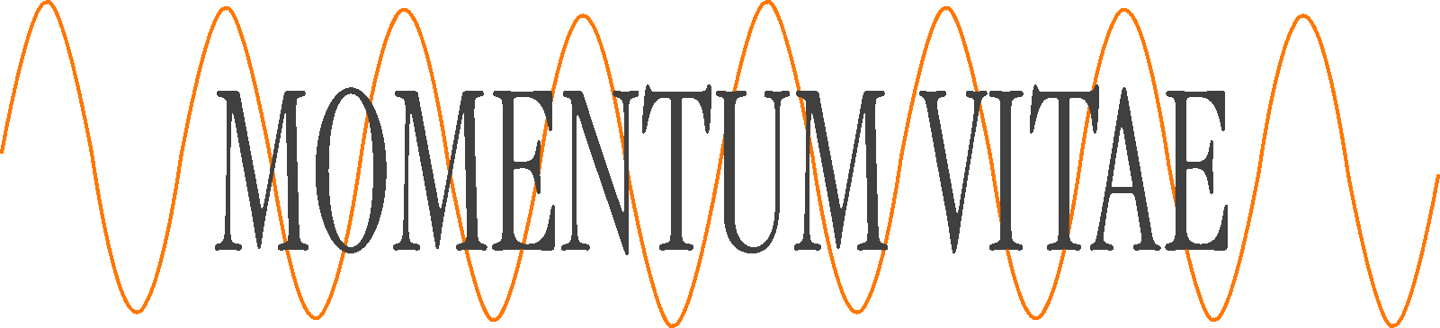 Logo MV