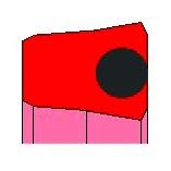DS 107