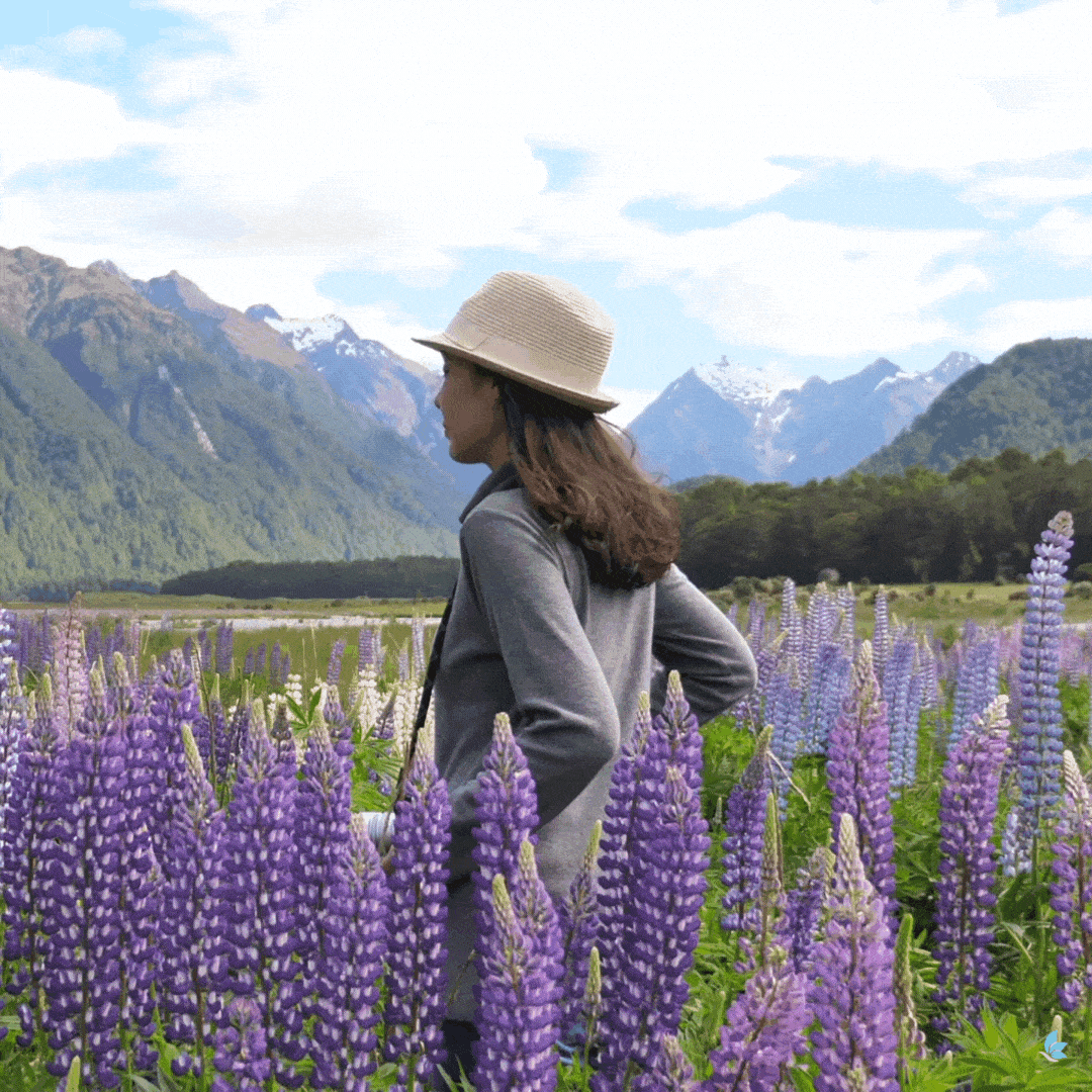 Ich biete als virtuelle Assistenz und Privatassistentin bundesweit Unterstützung für überlastete Privatpersonen. Meine Leistungen umfassen Terminplanung, Rechnungsmanagement, E-Mail-Organisation und sonstige kaufmännische Aufgaben im Privathaushalt.