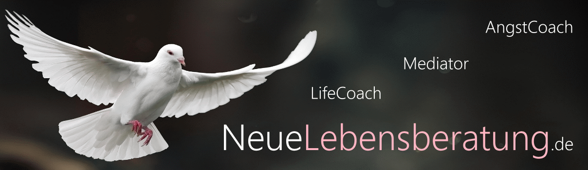Lebensberatung, LifeCoach, Mediator