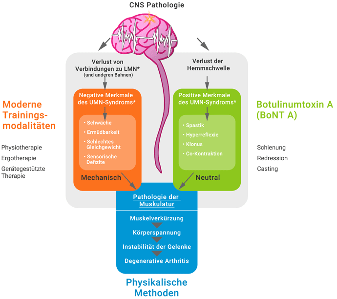 Multiprofessionelles Team Multiprofessionelles Team