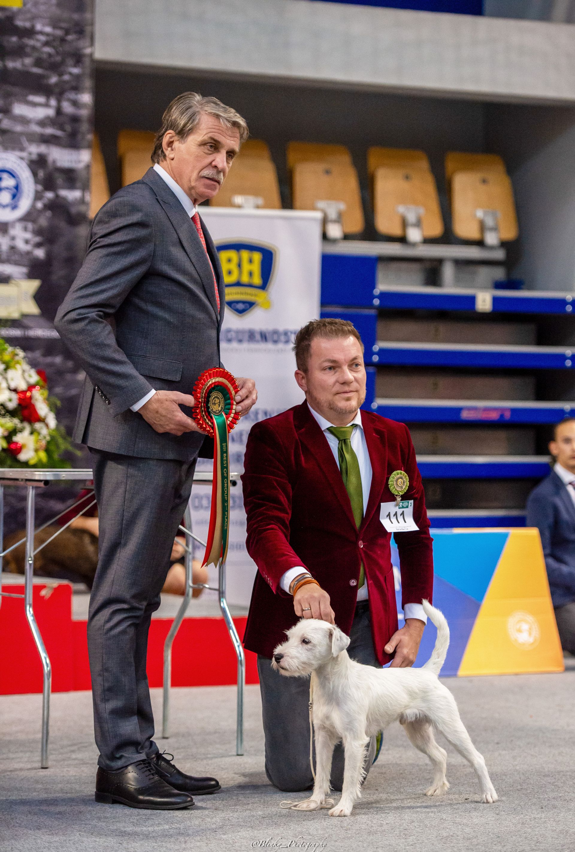 Fortune Cookie of Green Spirits gewinnt BOG 2 in Sarajevo auf der Winter Show