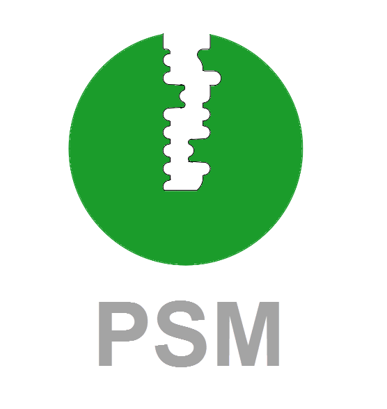 CES Profil PSM CES Profil PSM Schließzylinder