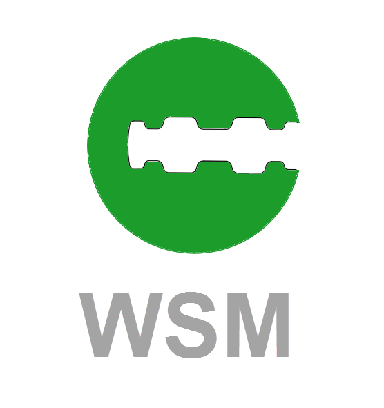 CES Profil WSM CES Profil WSM Schließzylinder